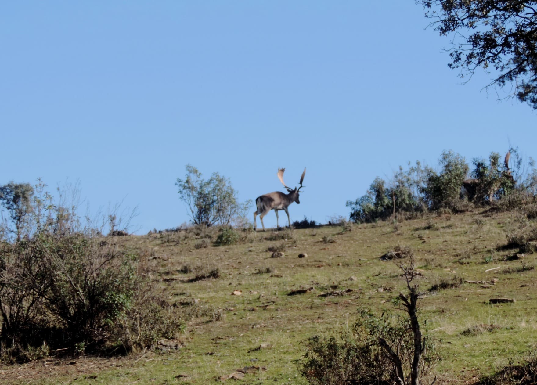 FOTOS NATURALEZA RESUMEN (10)