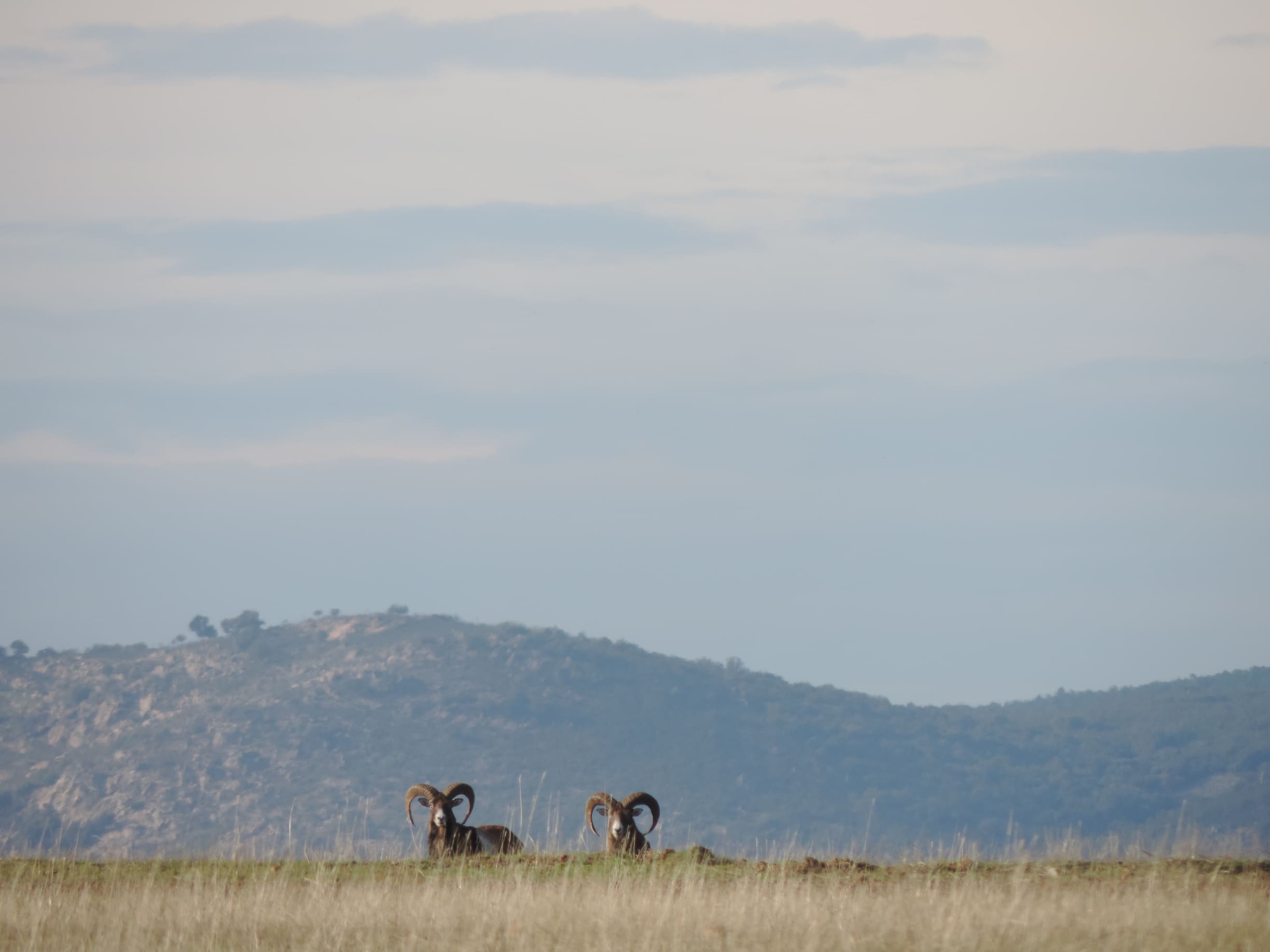FOTOS NATURALEZA RESUMEN (7)