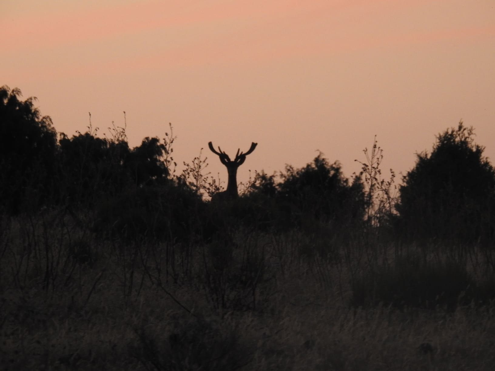 FOTOS NATURALEZA RESUMEN (8)