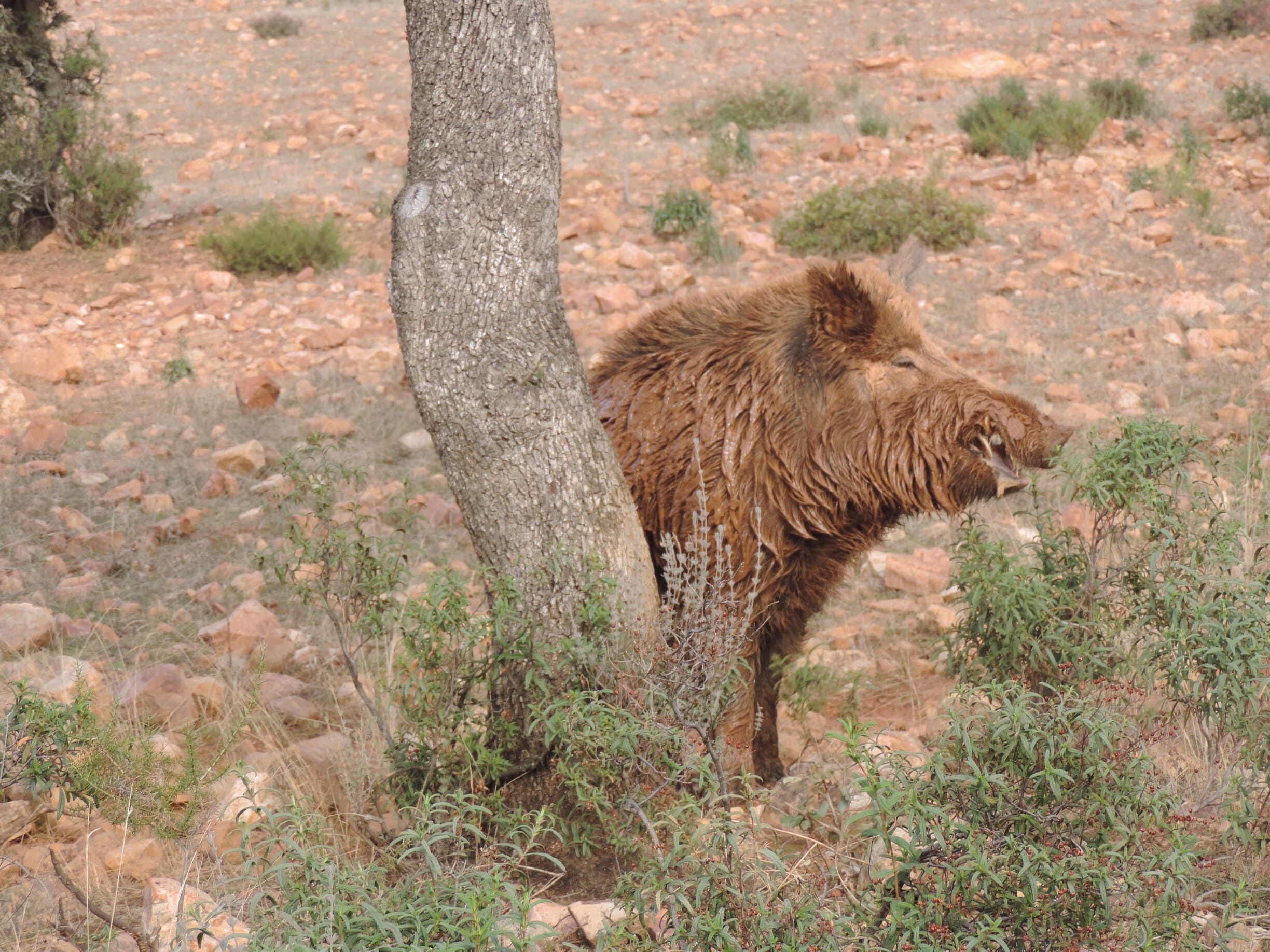 FOTOS NATURALEZA RESUMEN (9)