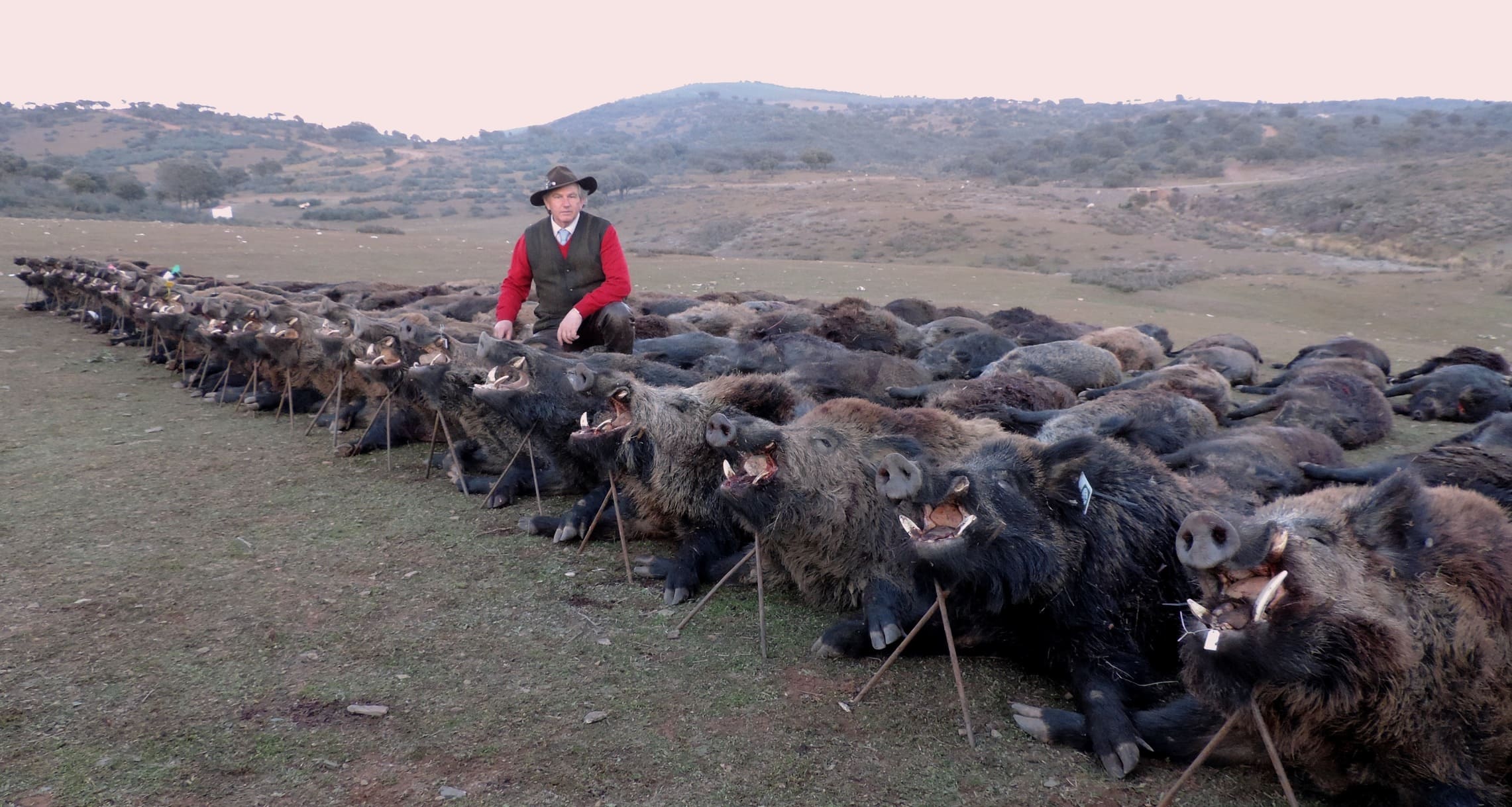 Montería Tradicional Gescaza