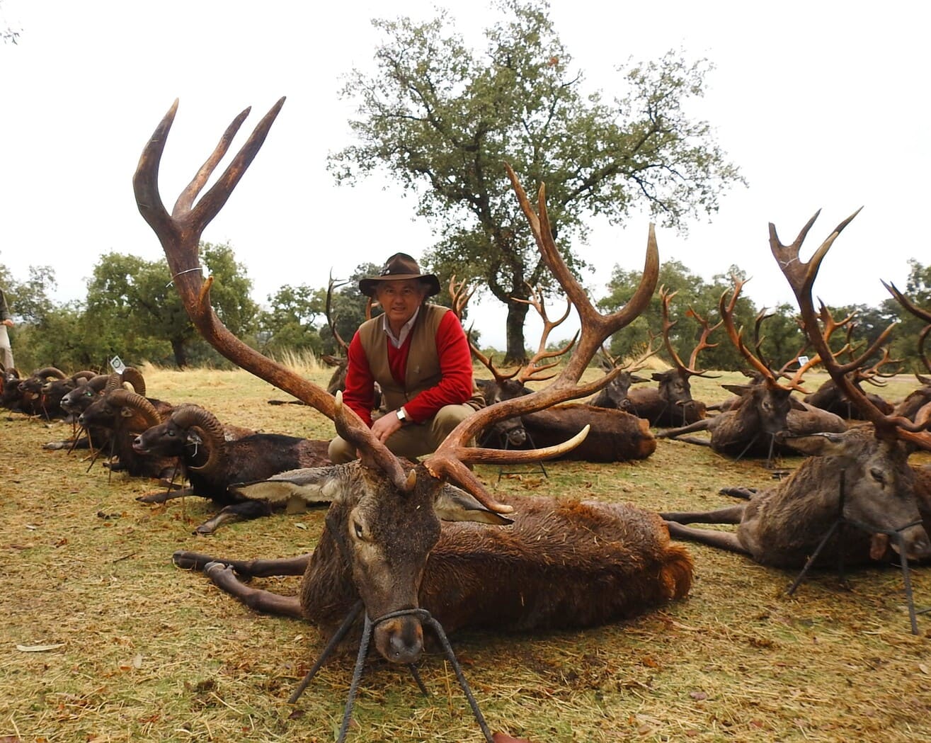 Montería Tradicional Gescaza