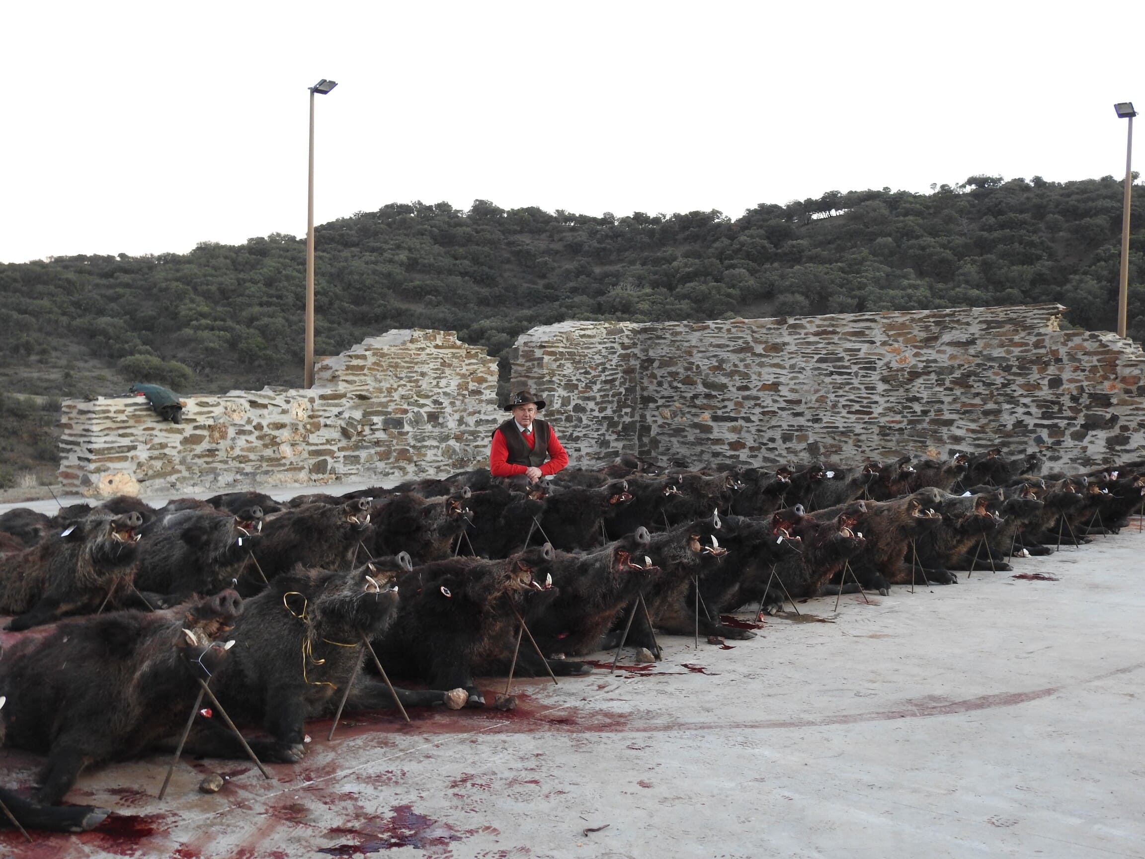 Montería Tradicional Gescaza