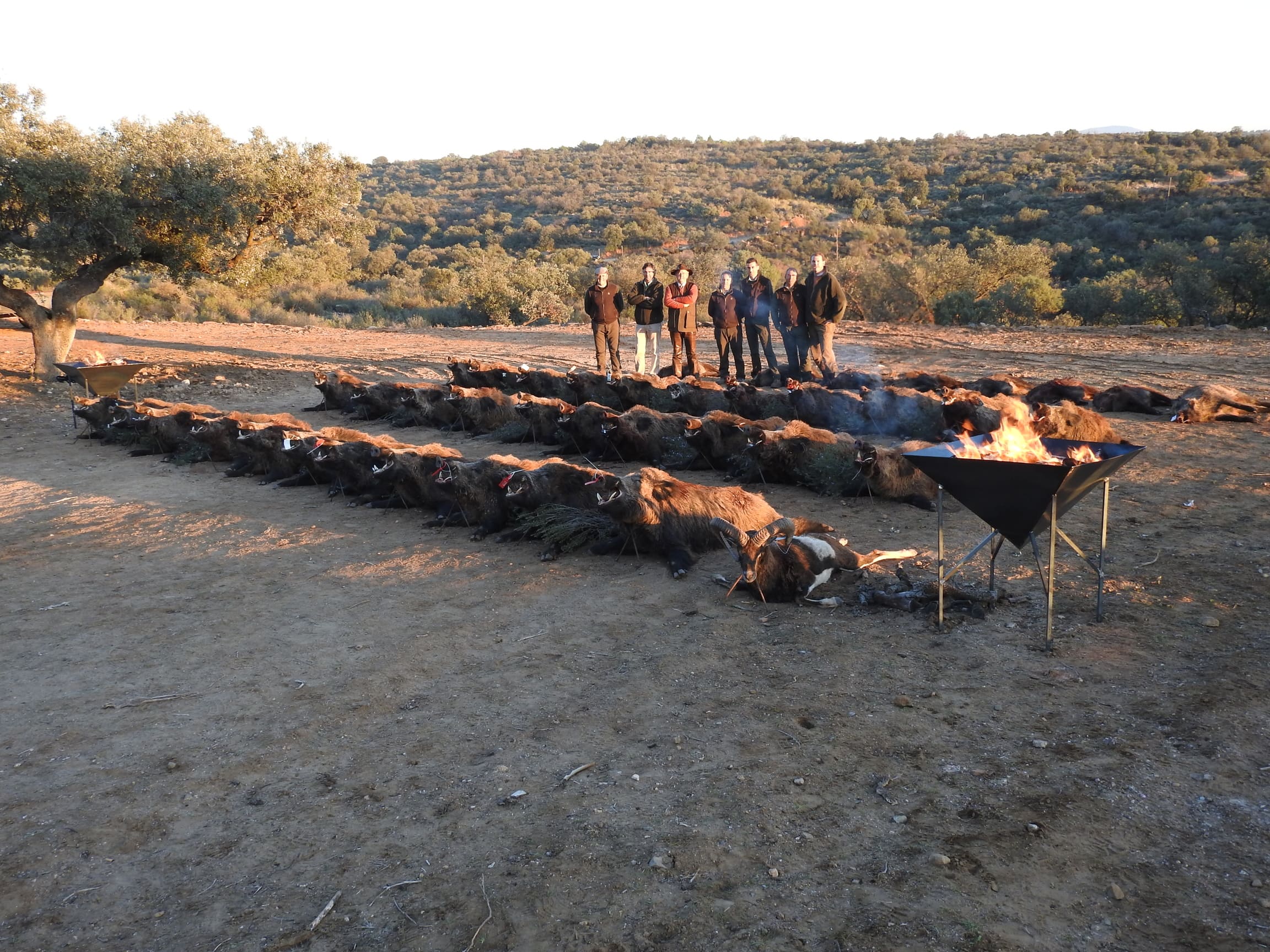 Montería Tradicional Gescaza