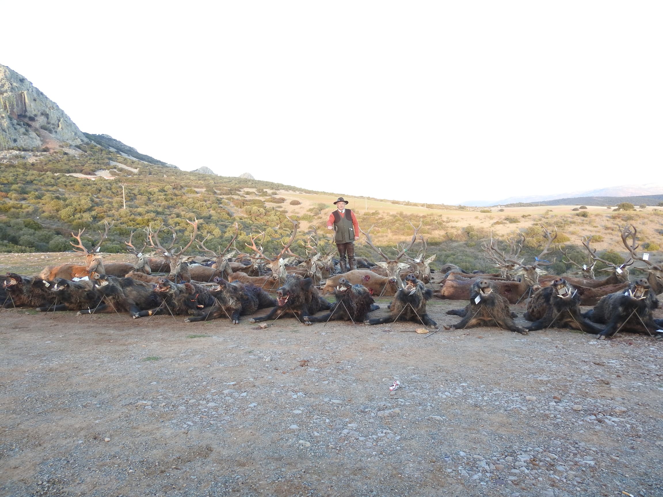 Montería Tradicional Gescaza